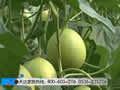 ʩʹgXyI
